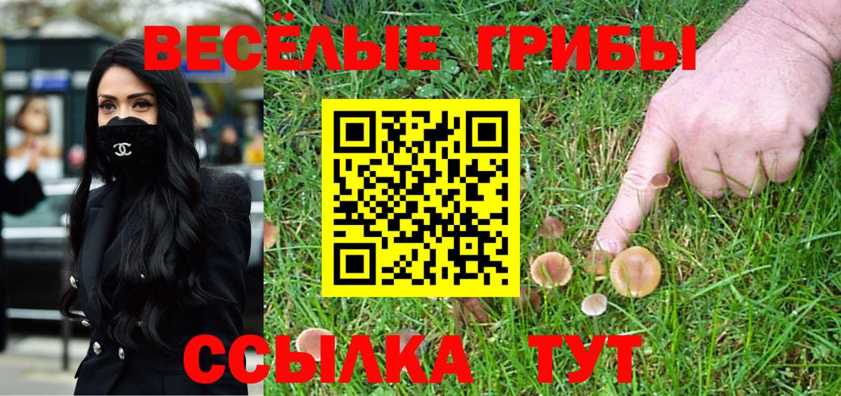 Биробиджан  Псилоцибиновые грибы Psilocybe  Вход с VPN 